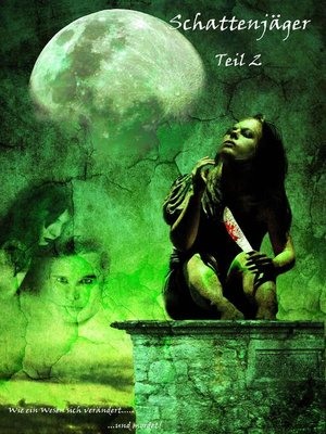cover image of Schattenjäger Teil 2